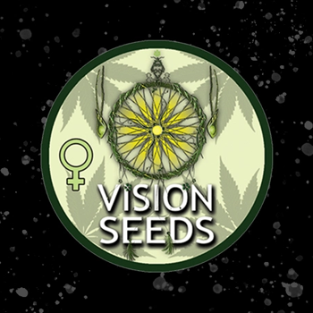 Save 20% on all Vision Seeds at  Seed City